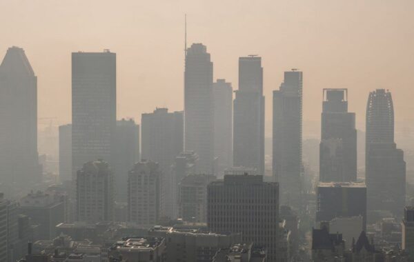 Tymi nga zjarret