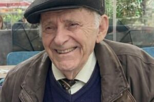 studiuesi i letërsisë shqipe, Ali