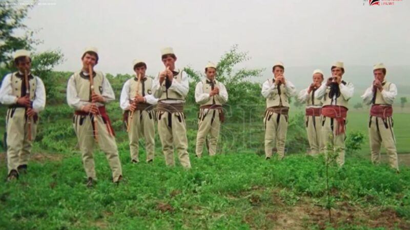 dëshmi e çmuar e muzikës