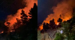 Zjarr në malin e Shëngjinit  zjarrfikësit në vendngjarje  VIDEO 
