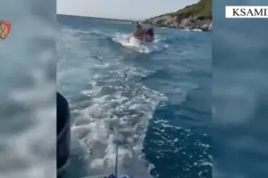 i pajetë