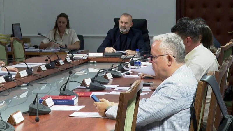 në Komisionin e Ligjeve,