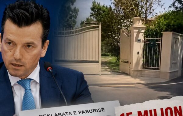 Vila, kompani “binjake” dhe pasuria