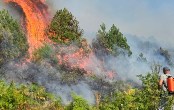 në malin e Shëngjinit,