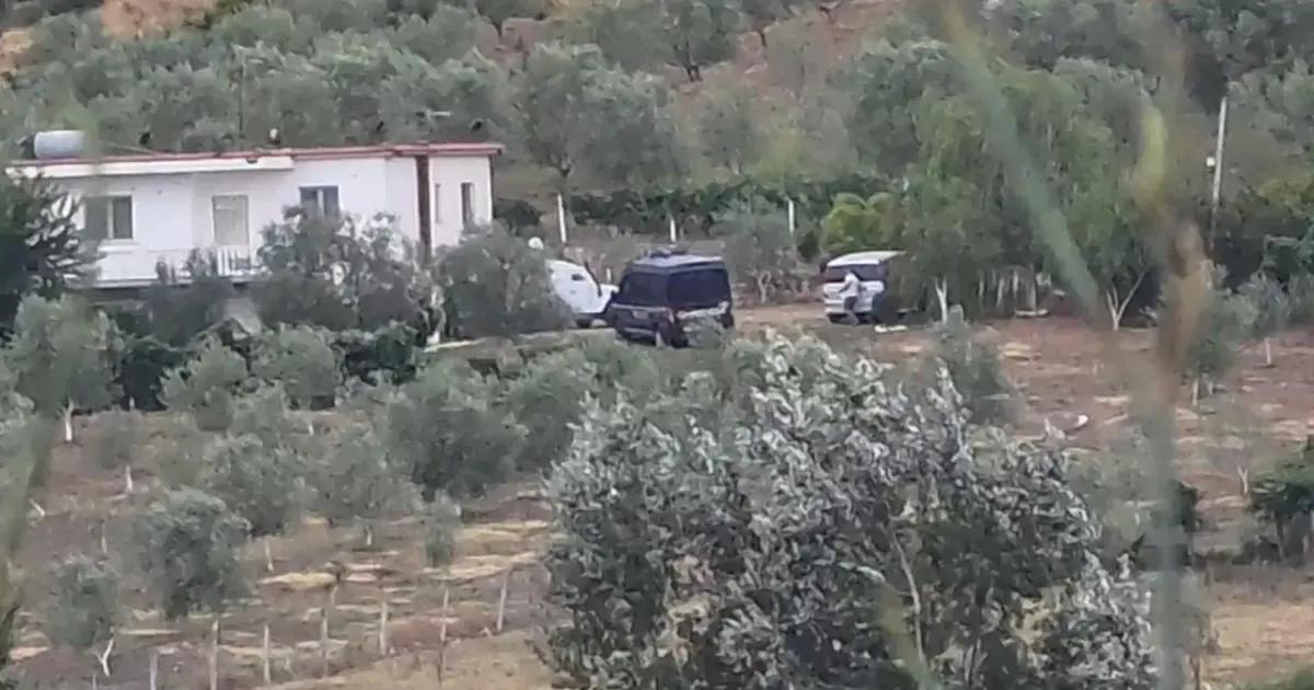Ata ma kanë bërë, më
