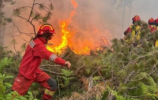 ka rrezik për zonat e