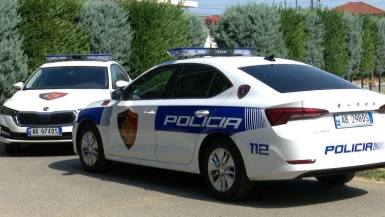 Krimeve në