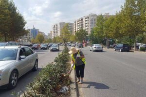 mbrojtja e