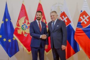 MALI I ZI KA