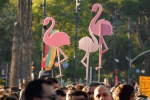 Revolucionit të Flamingove