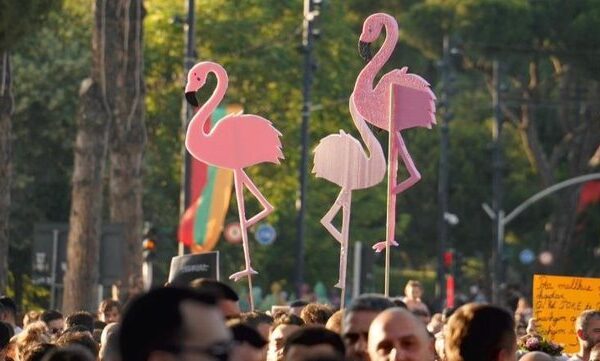 Revolucionit të Flamingove