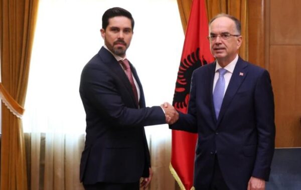 ambasadorin e