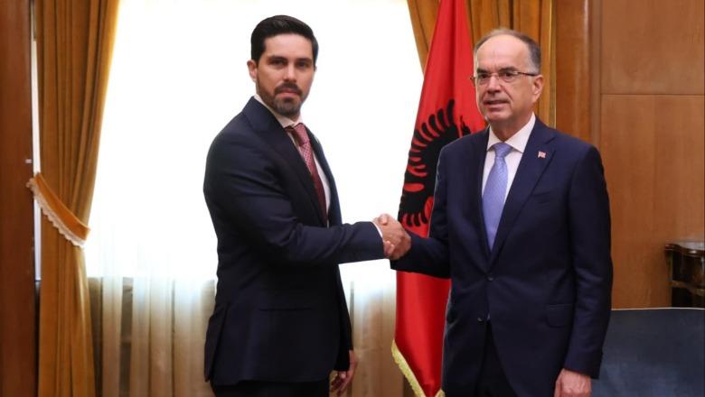 ambasadorin e