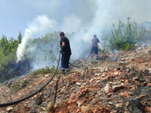 14 vatra zjarri në vend në 10 orët e fundit  7 mbeten ende aktive