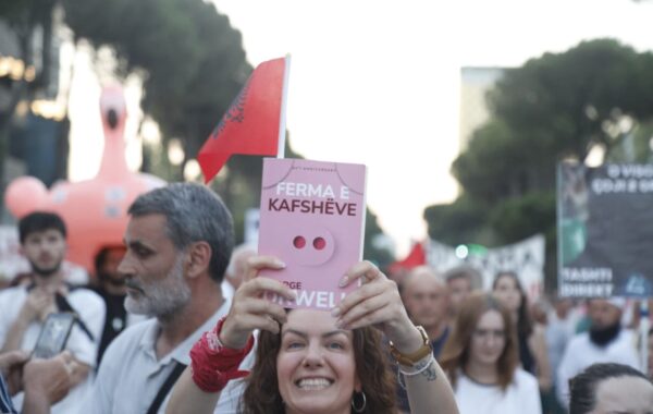 Revolucioni i Flamingove