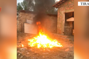 magazinave të Bashkisë së Tiranës
