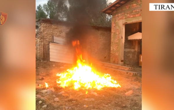 magazinave të Bashkisë së Tiranës
