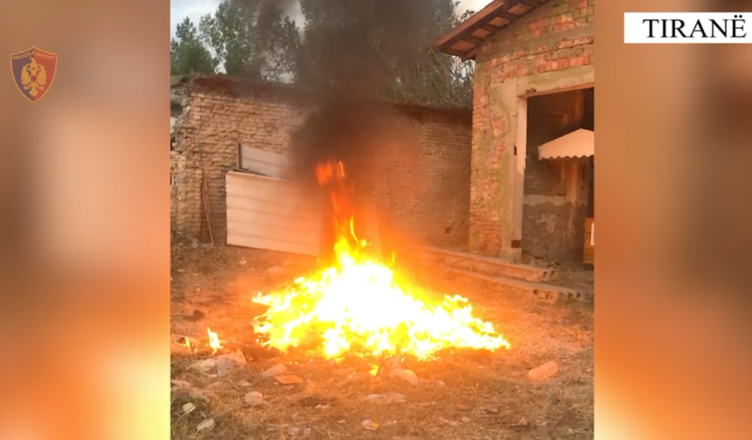 magazinave të Bashkisë së Tiranës