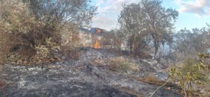 Zjarri përfshin zonën e Oparit në Moglicë  rrezikohen banesat pranë vatrës së flakëve