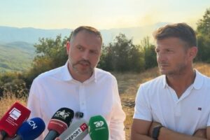 Zjarret në Mirditë, Nufi konfirmon vënien