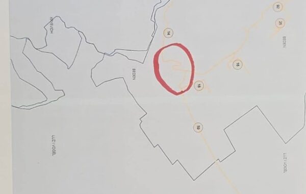 Bashkia Rrogozhinë