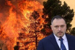e zjarreve në