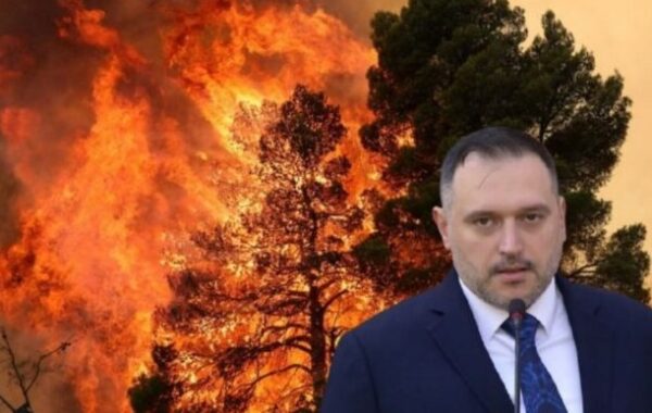 e zjarreve në