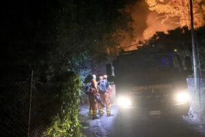 70 mijë hektarë