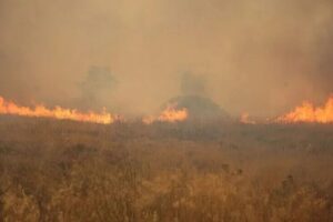 GREQI – Zjarri shkakton evakuime masive
