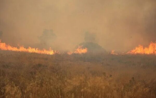 GREQI – Zjarri shkakton evakuime masive
