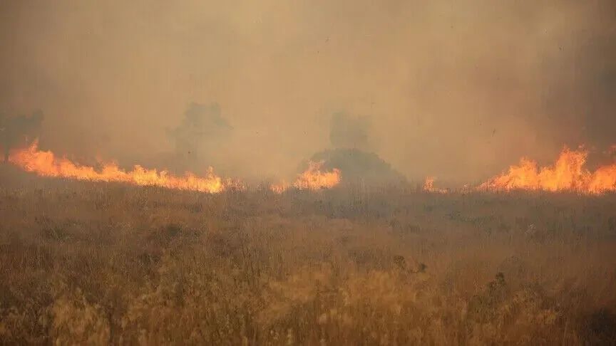 GREQI – Zjarri shkakton evakuime masive