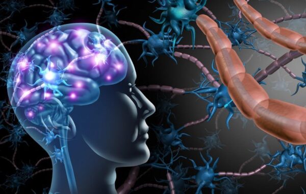 MJEKËSI – Pllaka inteligjente monitoron ilaçin