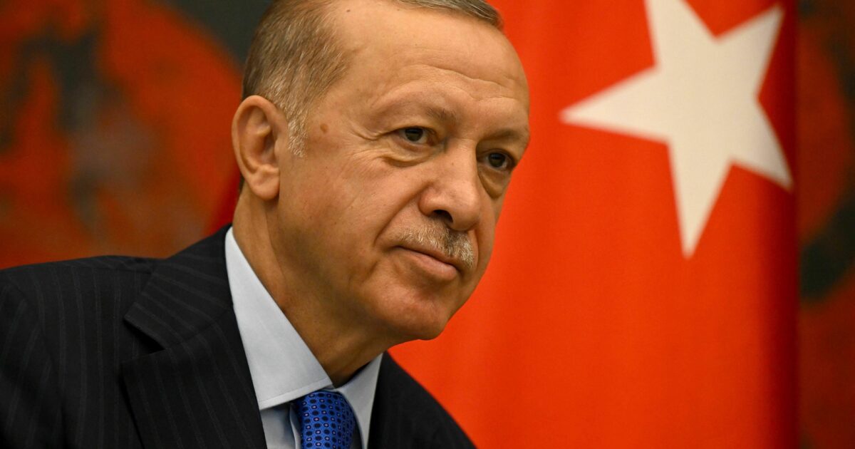 Erdogan i