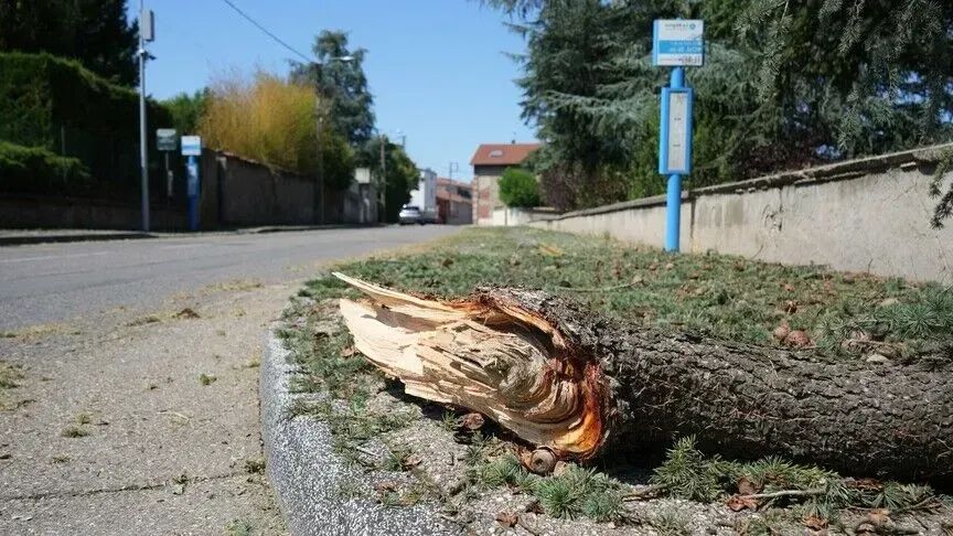 alarm portokalli për stuhi