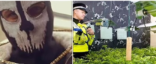 për të zbuluar
