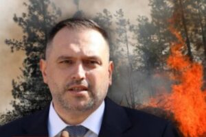 Zjarret në Shqipëri po