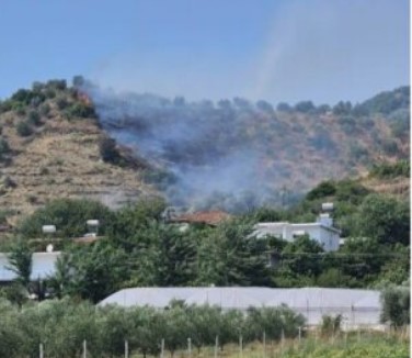 2 hektarë,