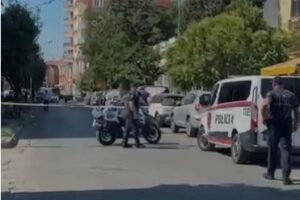 Të shtëna me armë
