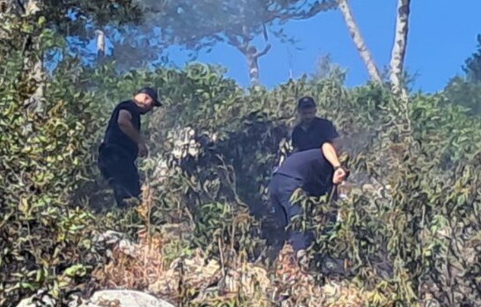 në malin e Qukësit
