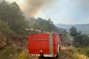 31 vatra zjarri në