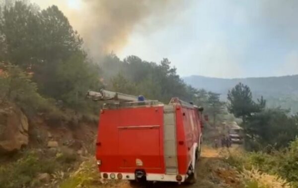 31 vatra zjarri në