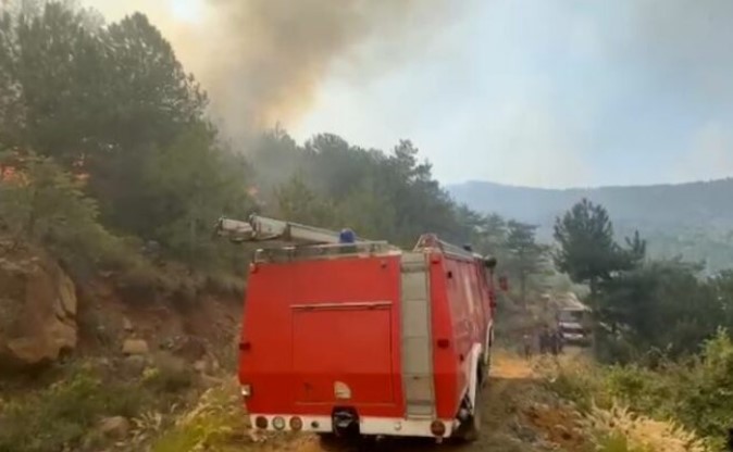 31 vatra zjarri në