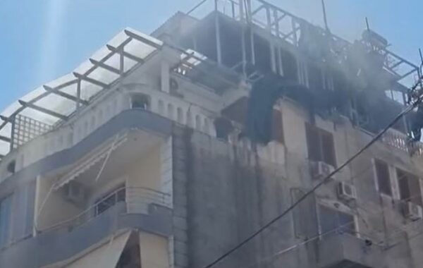 katin e pestë të një