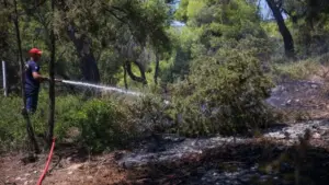Zjarret përfshijnë Greqinë  ekipe të specializuara  zjarrfikëse dhe avionë vihen në dispozicion