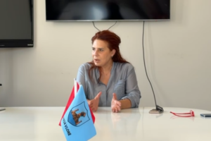 Siguria e qytetarëve dhe pushuesve