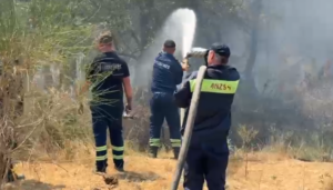 14 vatra zjarri në 10 orët e fundit  7 mbeten aktive