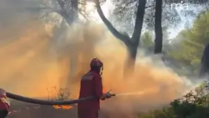 15 vatra zjarri në vend  7 aktive  Alarm në Krastë të Krujës dhe në Malin e Çikës  ndërhyrje nga ajri