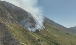 Situata e zjarreve në vend  23 vatra në 24 orët e fundit  2 mbeten në monitorim