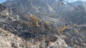 Dajti  Puka  Dibra dhe Mirdita nën flakë  6 vatra zjarri vijojnë aktive
