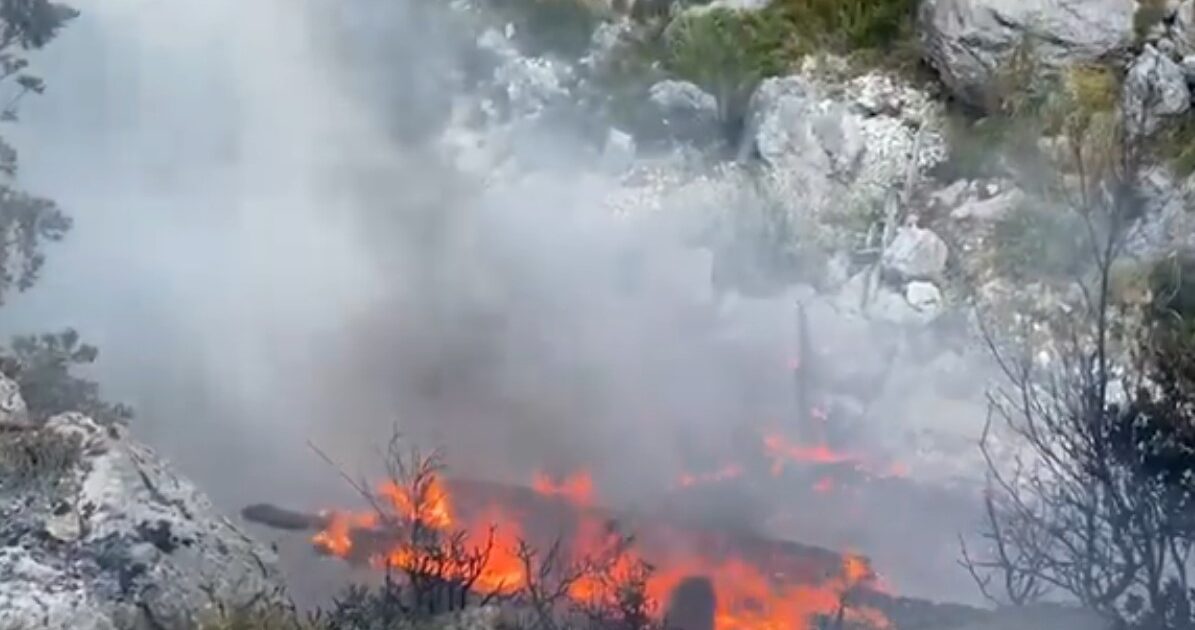 Aktiv prej dy ditësh, vihet në